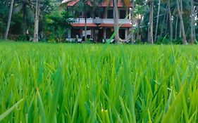 Paddy Farm Beach Resort